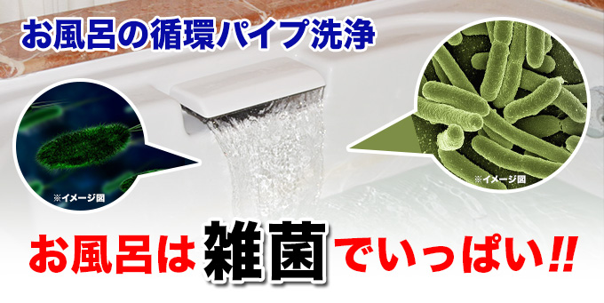 お風呂の循環パイプ洗浄 お風呂は雑菌でいっぱい!